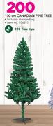 150cm Canadian Pine Tree