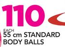 Trojan 55cm Standard Body Balls-Each