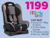 Little One Car Seat