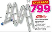 Gravity Wonder Ladder Aluminium