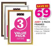 Abbay 3 Pack Frames-Per Pack