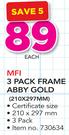 MFI 3 Pack Frame Abby Gold-Each