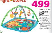 Bright Starts Zippy Zoo Activity GYM