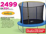 Bounceking Skyzone 10 Foot Trampoline