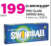 Dunlop Pro Slam Swing Ball-Each