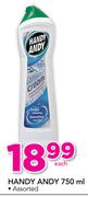 Handy Andy Assorted-750ml