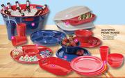 Assorted Picnic Rectangular Tray