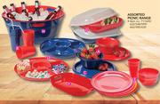 Assorted Picnic Range 4 Pack Party Bowl