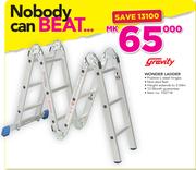 Gravity Wonder Ladder