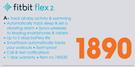 Fitbit Flex 2