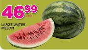 Large Water Melon-Each