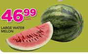 Large Water Melon-Each