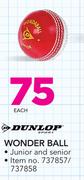 Dunlop Wonder Ball-Each