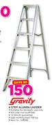 Gravity 6 Step Alumin Ladder