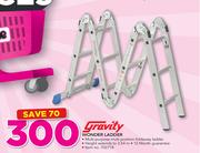 Gravity Wonder Ladder