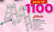 Gravity Aluminium Wonder Ladder