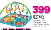 Zippy Zoo Play Gym