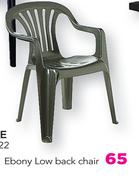 Antracite Ebony Low Back Chair