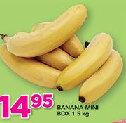 Banana Mini Box-1.5kg