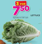 Lettuce-For 3