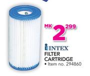 Intex Filter Cartridge