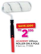 Academy 225mm Roller On A Pole