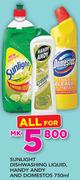 Sunlight Dishwashing Liquid, Handy Andy And Domestos-750ml