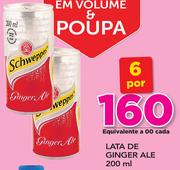 lata de Ginger ale-6x200ml