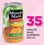 Minute Maid Diversos-330ml