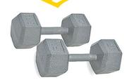 Everlast Hex Dumbbell-12.5Kg