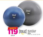 Everlast 65cm/75cm Anti Burst Ball-Each