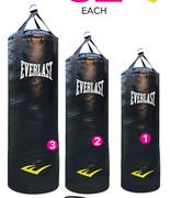 Everlast Punch Bag Large