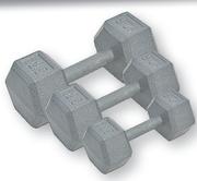 Everlast Hex Dumbell 15Kg