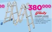 Gravity Wonder Ladder