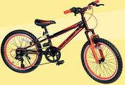 Raleigh 20" MXR Mountain Bike