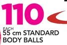 Trojan 55cm Standard Body Balls-Each