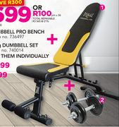 Everlast Dumbbell Pro Bench