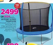 Skyzone 10 Foot Trampoline
