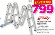 Gravity Wonder Ladder Aluminium