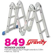 Gravity Wonder Ladder