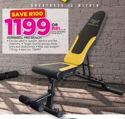 Everlast discount dumbbell bench
