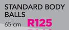 Trojan 65cm Body Ball-Each
