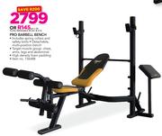 Everlast pro barbell bench clearance