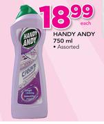Handy Andy Assorted-750ml
