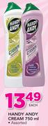 Handy Andy Cream Assorted-750ml Each