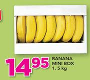 Banana Mini Box-1.5Kg