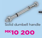 Everlast Solid Dumbell Handle