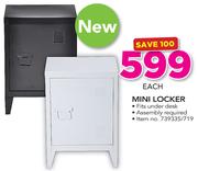 Mini Locker-Each