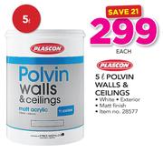 Plascon 5Ltr Polvin Walls & Ceilings