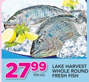 Lake Harvest Whole Round Fresh Fish-Per Kg
